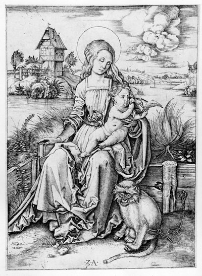Madonna with the Monkey by Albrecht Dürer